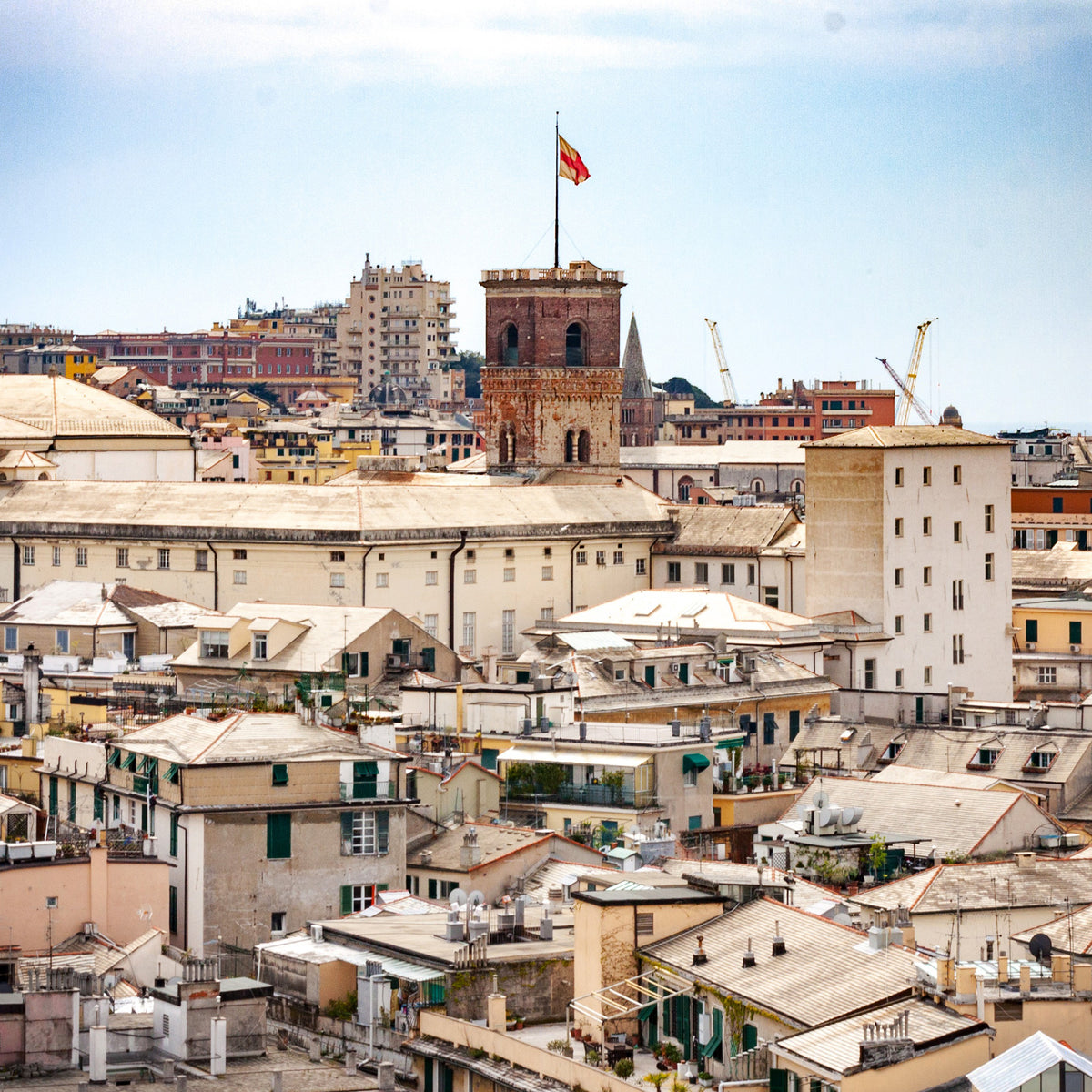 Genoa, the birthplace of traditional basil pesto